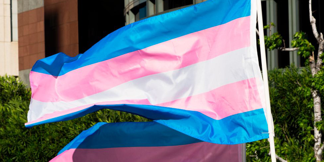 Transgender flag unfurled on a pole. 