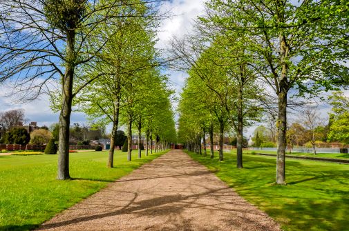 Parks and green spaces need to feel safe to boost mental health